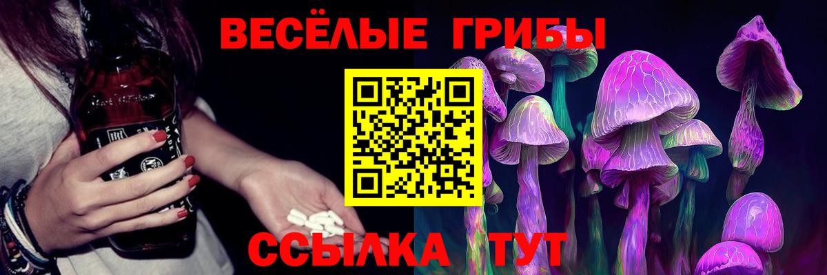 Псилоцибиновые грибы мухоморы  Вход с VPN  наркошоп  Каменск-Шахтинский 